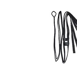 Gin tandem rescue bridle