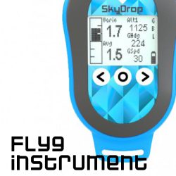 Flyginstrument