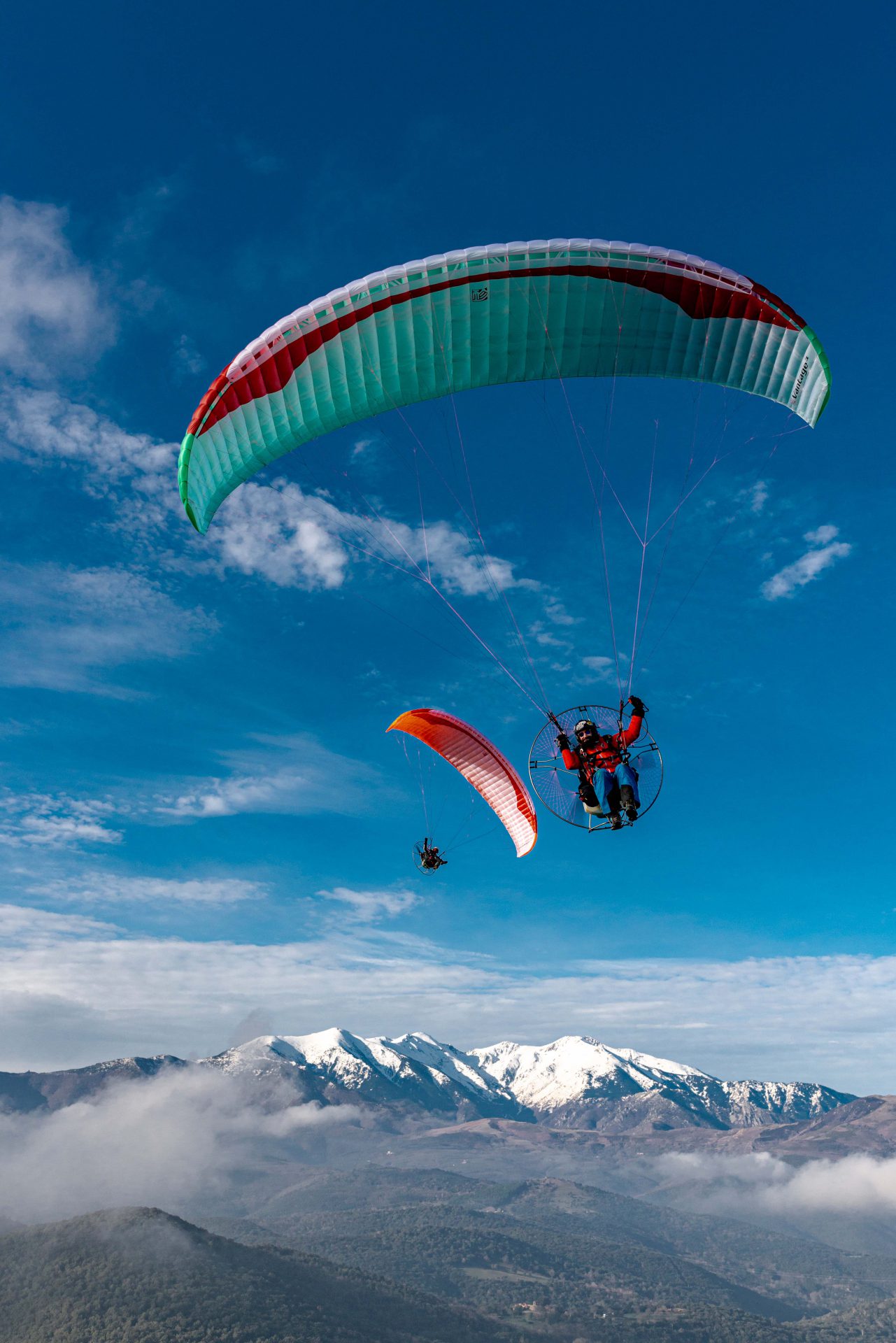 Gin Vantage 3 - Bild 6