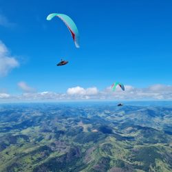 Gin Boomerang 12, CCC