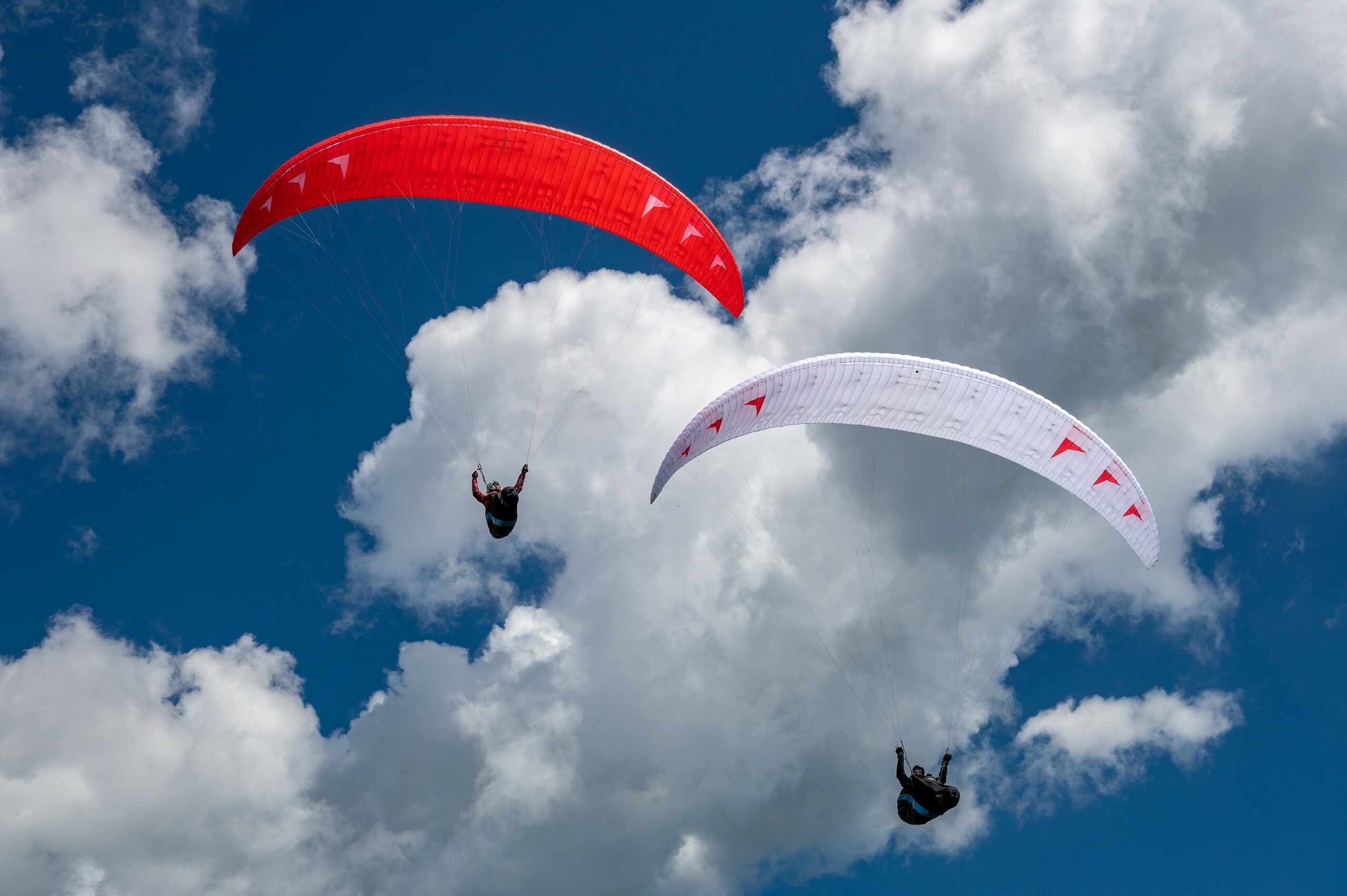 PHI Scala Light - Bild 6