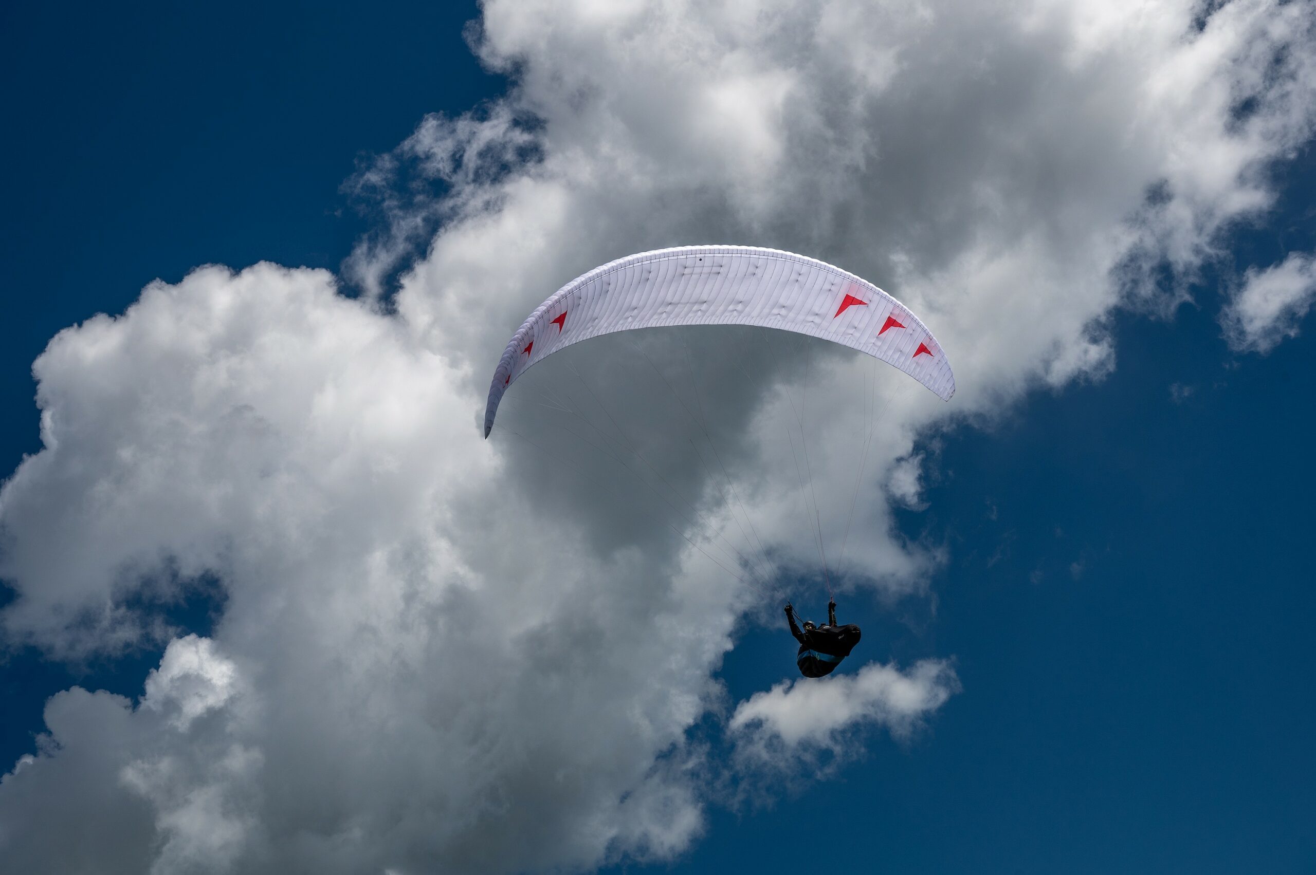 PHI Scala Light - Bild 7