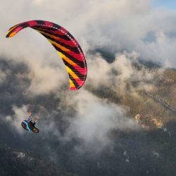 PHI Symphonia 2 Light, EN-A