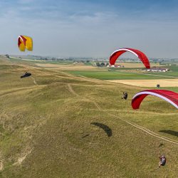 Gin Avid, Sport XC, EN-B