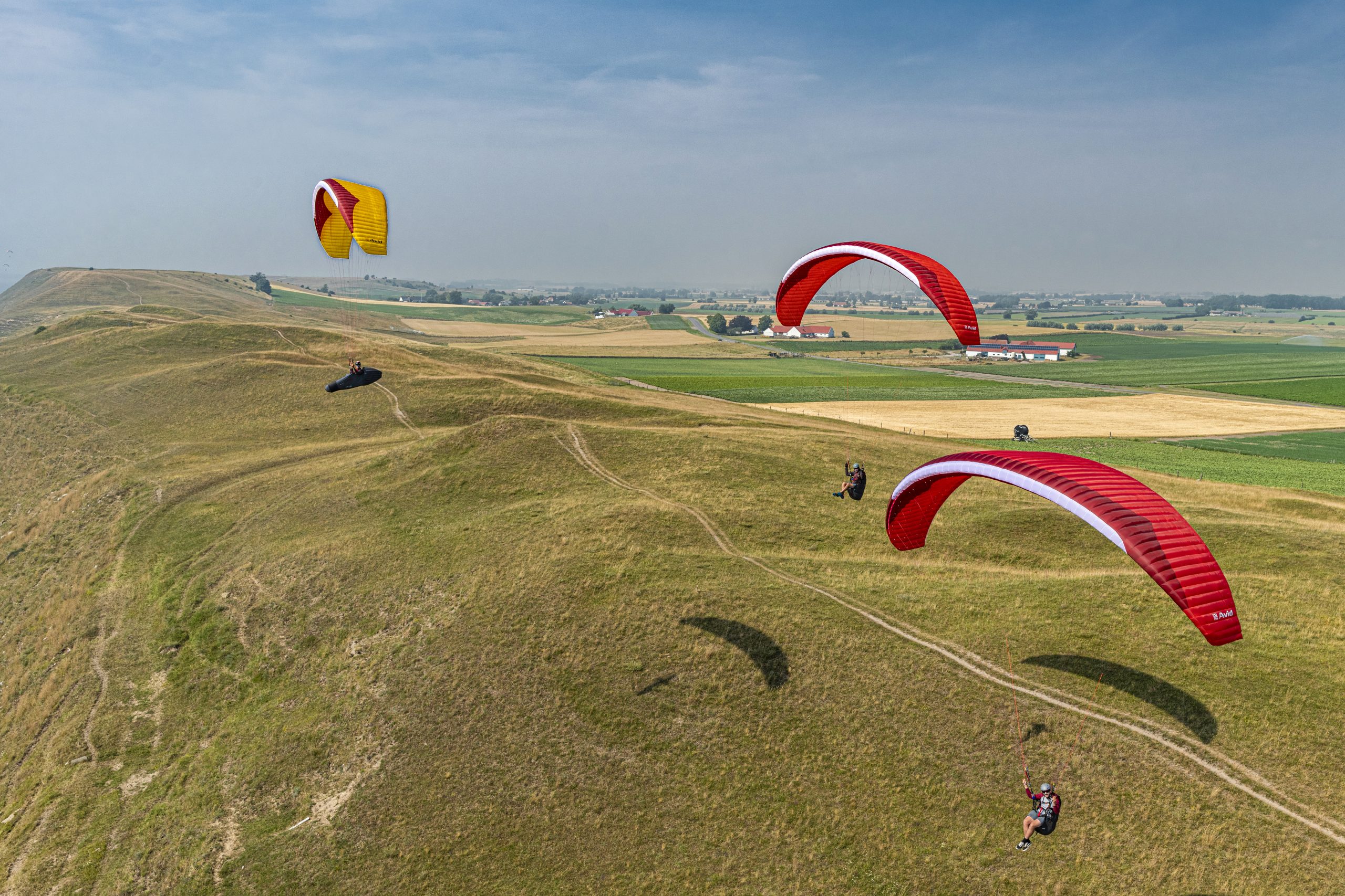 Gin Avid, Sport XC, EN-B