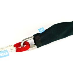 Neo Maillon Rapide Cover