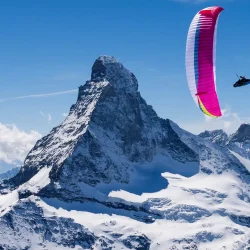 Airdesign LiVi 2