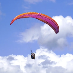 Level Wing WindForce